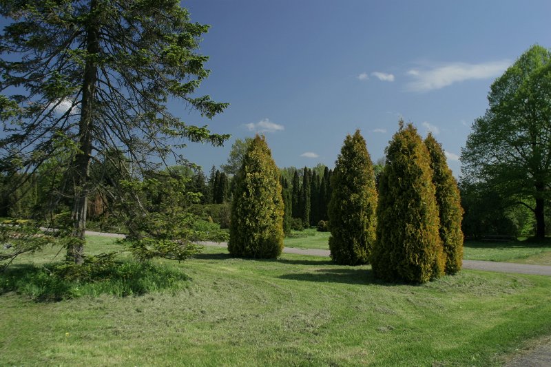 Latvijas Nacionālais botāniskais dārzs (Miera ielā 1, Salaspilī). null