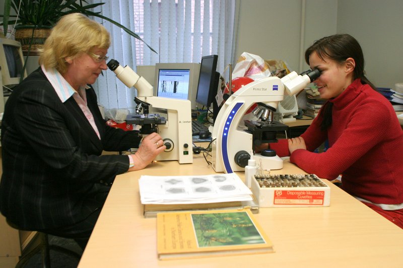 Putekšņu analīzes veikšana LU ĢZZF Kvartārvides laboratorijā ar bioloģiskajiem gaismas mikroskopiem. No kreisās: Laimdota Kalniņa, LU ĢZZF docente un Ilze Gorovņeva, Ģeoloģijas maģistra studiju programmas 1.kursa studente.