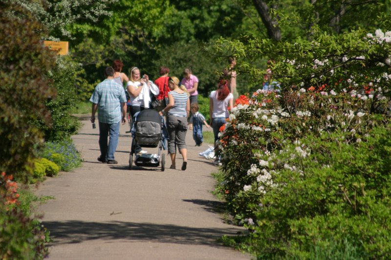 Latvijas Universitātes Botāniskā dārzs. null