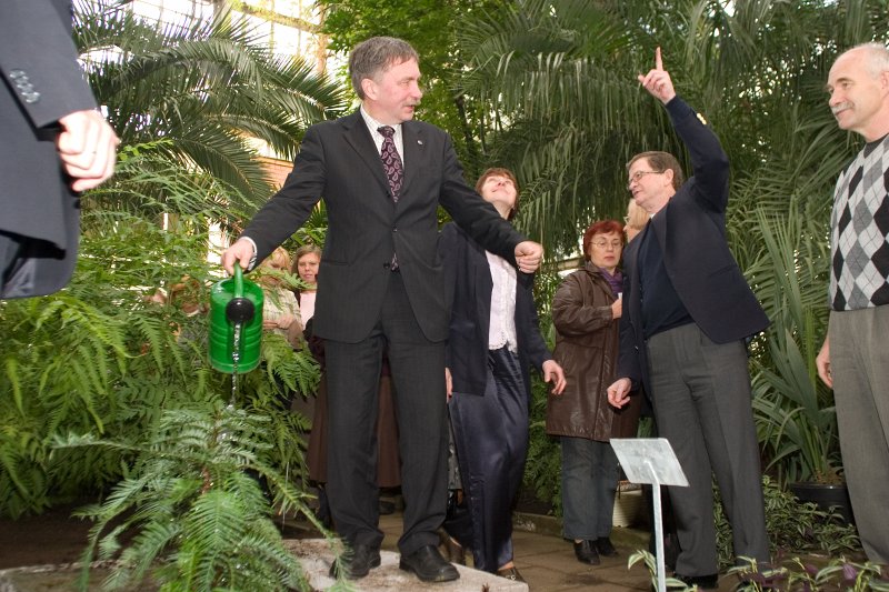 Austrālijas valdības dāvinātās Volemi priedes svinīgā dēstīšana LU Botāniskajā dārzā. LU zinātņu prorektors Indriķis Muižnieks (pa kreisi) aplaista nule dēstīto priedi.