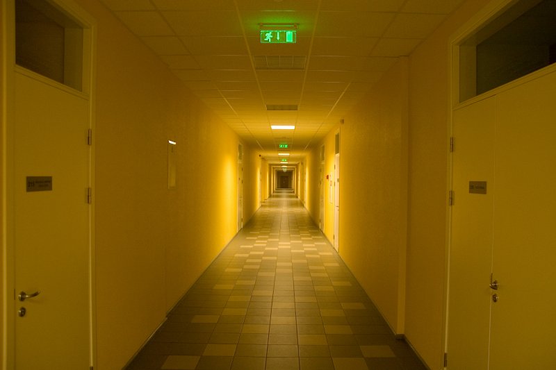 Latvijas Universitātes Sociālo zinātņu fakultāte, koridors. null