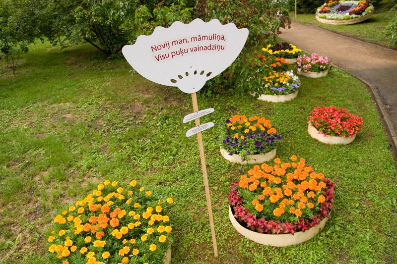 Dārzu svētki 'Ziedu balle' Latvijas Universitātes Botāniskajā dārzā. null