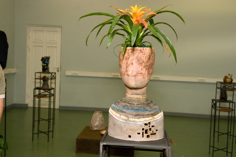 Latvijas Universitātes Tautas lietišķās mākslas studijas 'Vāpe' keramikas izstādes 'Jubilejas noskaņās' atklāšana. null
