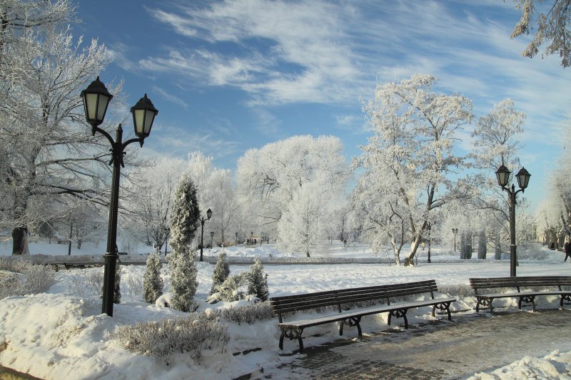 Parks iepretim Latvijas Universitātes galvenajai ēkai ziemā. null