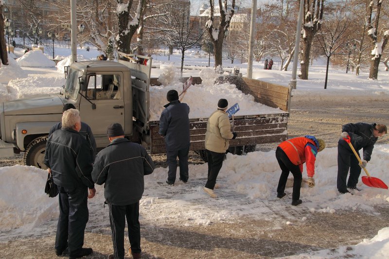 Strādnieki tīra trotuāru no sniega pie Latvijas Universitātes galvenās ēkas. null