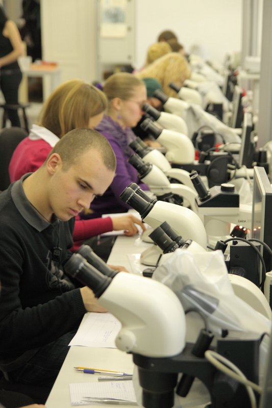 Pasākums 'Studenta kurpēs' Latvijas Universitātē. Bioloģijas fakultāte, laboratorijas darbs zooloģijā. null