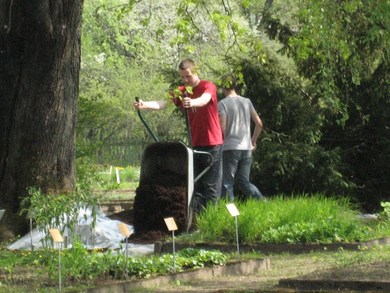 LU Fonda stipendiātu (2008.-2010. ak.g.) talka LU Botāniskajā dārzā. null