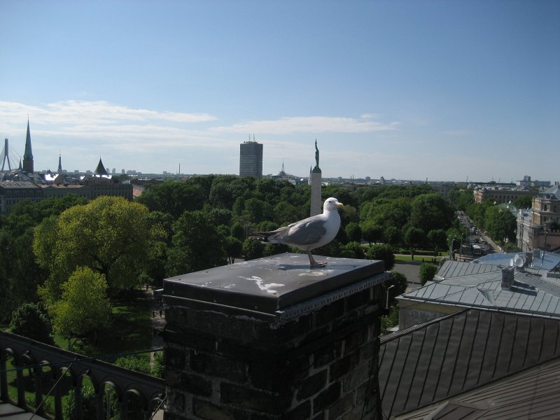 LU Fonda stipendiju komisijas dalībnieku pēcpusdiena. null