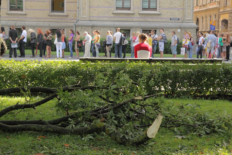 Pieteikumu iesniegšana pamatstudijām Latvijas Universitātē (LU). null