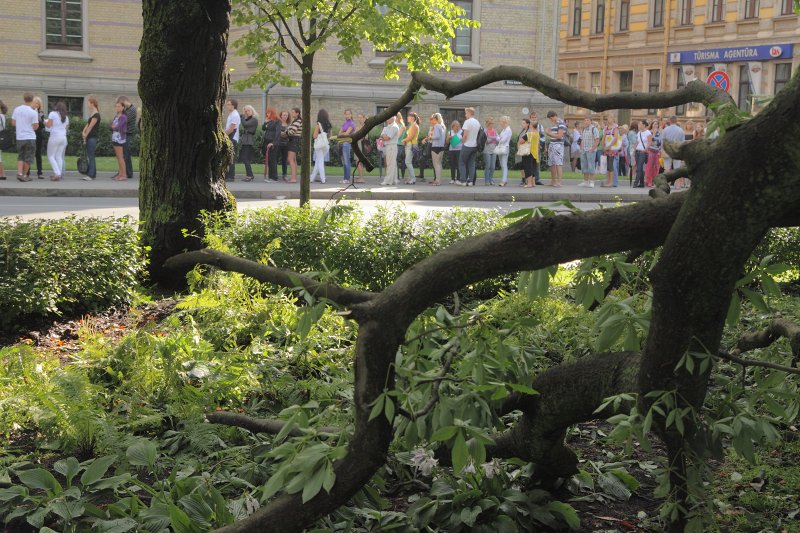 Pieteikumu iesniegšana pamatstudijām Latvijas Universitātē (LU). null