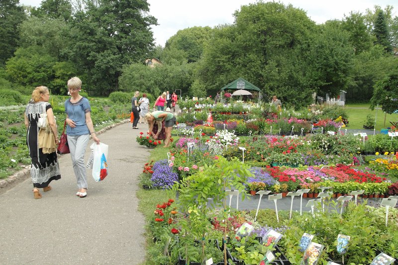 'Rīgas Puķu balle 2012' Latvijas Universitātes Botāniskajā dārzā. Stādu tirdziņš. null