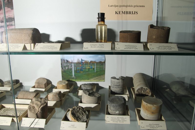 Latvijas Universitātes Ģeoloģijas muzeja ekspozīcija. null
