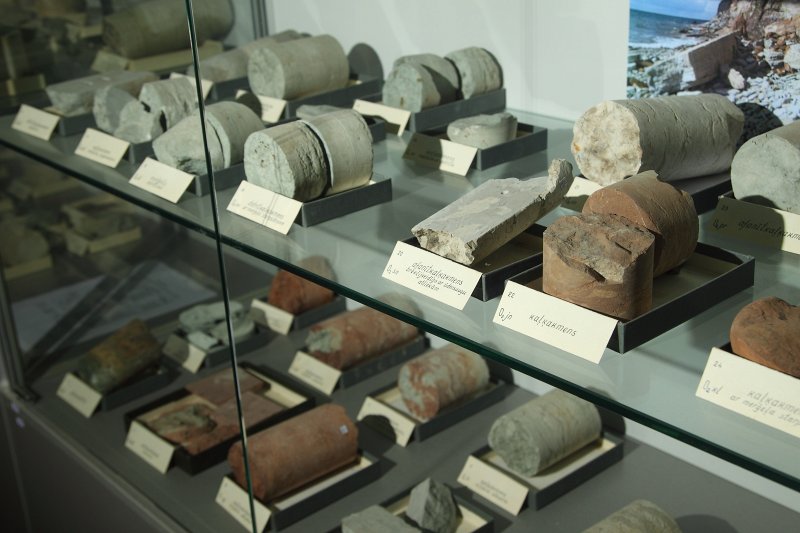 Latvijas Universitātes Ģeoloģijas muzeja ekspozīcija. null