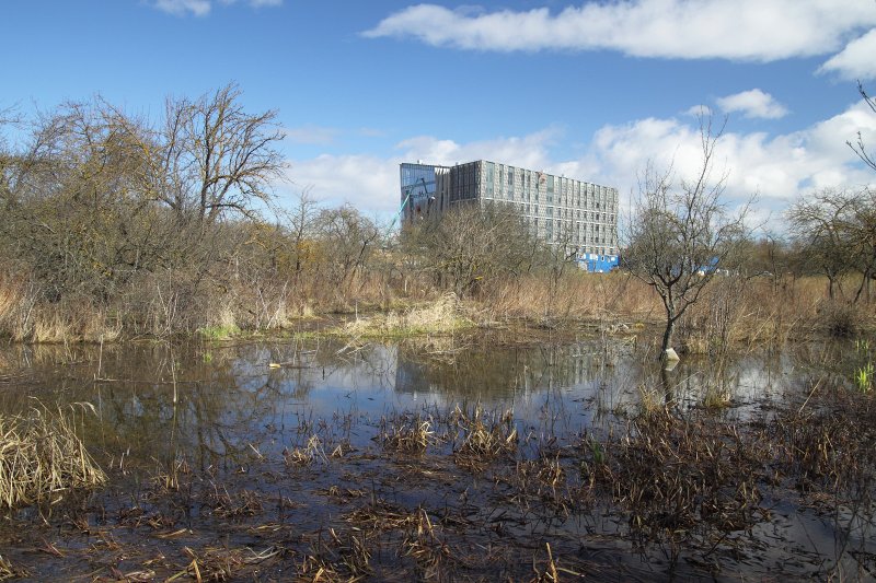 Topošā Latvijas Universitātes Akadēmiskā centra teritorija, topošā Dabas māja. null