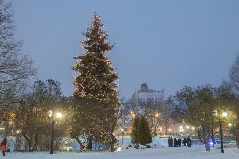 Latvijas Universitātes galvenā ēka. null