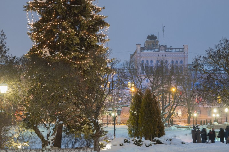 Latvijas Universitātes galvenā ēka. null