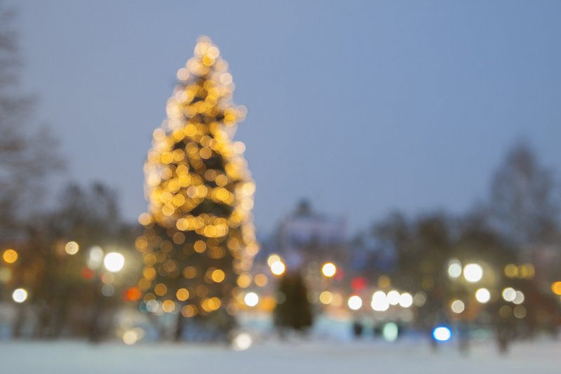 Ziemassvētku egle iepretim Latvijas Universitātes galvenajai ēkai. null