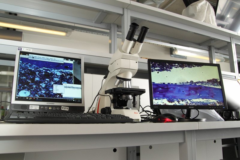 Laboratorija Latvijas Universitātes Dabaszinātņu akadēmiskajā centrā. Gaismas mikroskops Leica ar videokameru un attēlu analīzes programmatūru.
