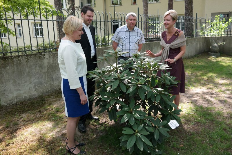 Latvijas Universitātes Fonda izpilddirektore Laila Kundziņa-Zvejniece un Latvijas Universitātes prorektors prof. Jānis Ikstens piedalās Baltā galdauta svētkos Latvijas vēstniecībā Vācijā. null