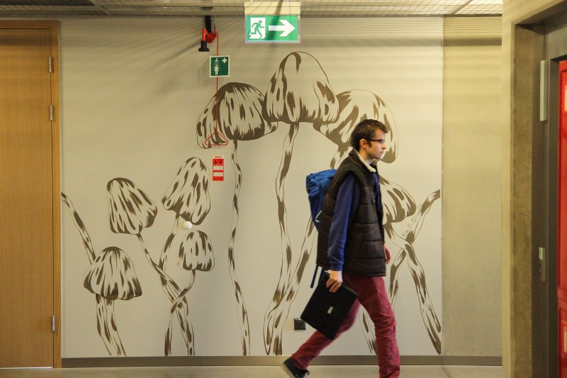 Mākslinieces Kristīnes Luīzes Avotiņas gleznojums uz Latvijas Universitātes Dabaszinātņu akadēmiskā centra sienas. null