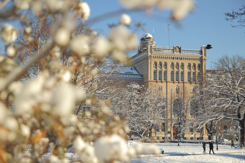Latvijas Universitātes galvenā ēka ziemā. null