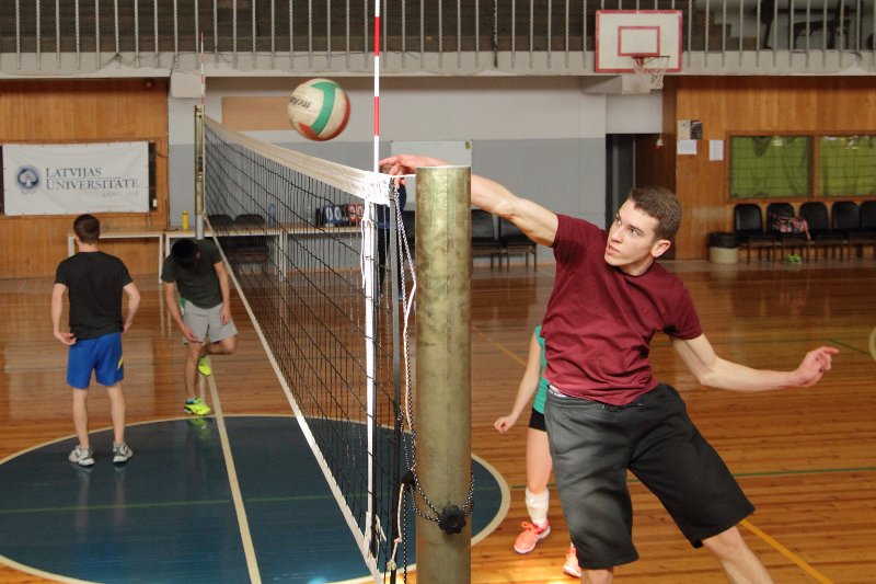 Volejbola treniņš Latvijas Universitātē. null