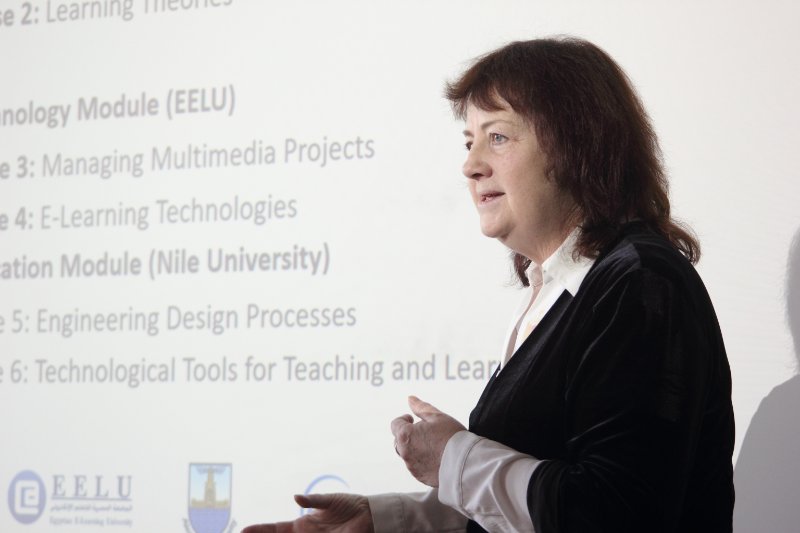 Seminārs «International Diploma for School Teachers in STEM Education / eSTEM». Prof. Irina Maslo.