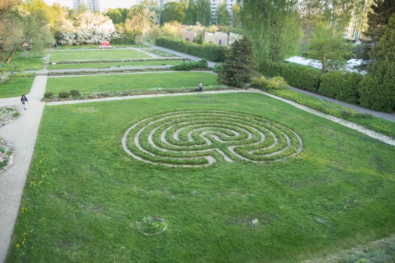 Latvijas Universitātes Botāniskais dārzs. Labirints.