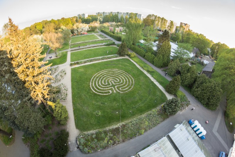 Latvijas Universitātes Botāniskais dārzs. Labirints