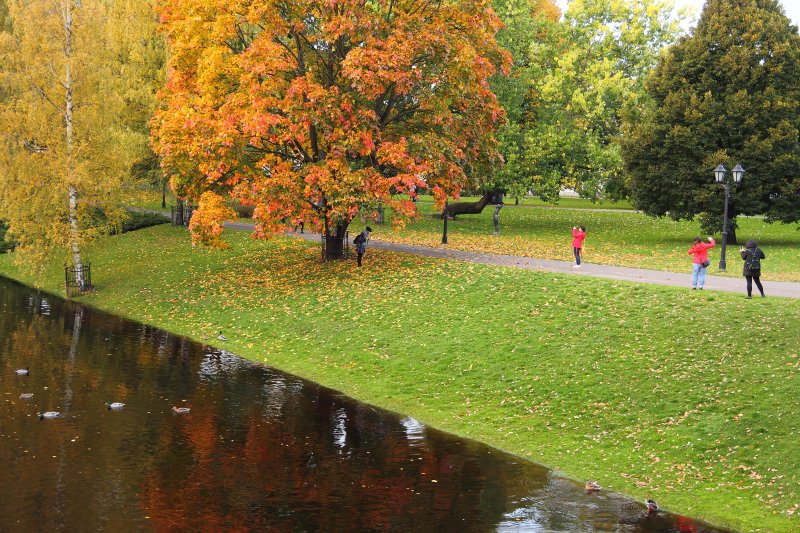 Rīgas pilsētas kanāls rudenī netālu no Latvijas Universitātes galvenās ēkas. null
