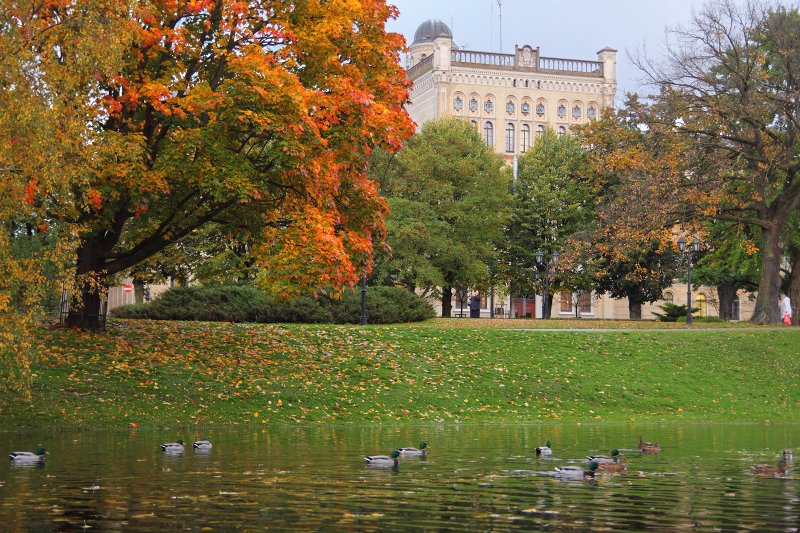 Latvijas Universitātes galvenā ēka rudenī. null