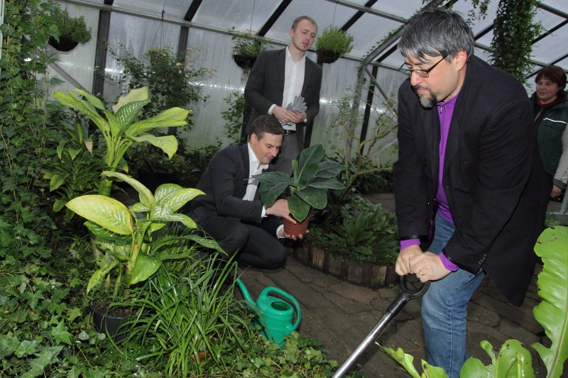 Biznesa akseleratora «RebelBio» dibinātāja Bila Ljao vizīte Latvijas Universitātē. Banānu palmas stādīšana LU Botāniskajā dārzā. null