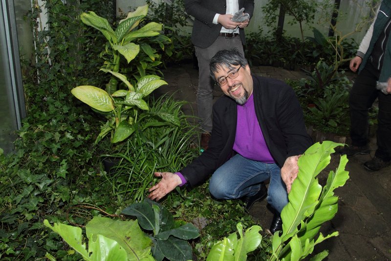 Biznesa akseleratora «RebelBio» dibinātāja Bila Ljao vizīte Latvijas Universitātē. Banānu palmas stādīšana LU Botāniskajā dārzā. Biznesa akseleratora «RebelBio» dibinātājs Bils Ljao (Bill Liao).