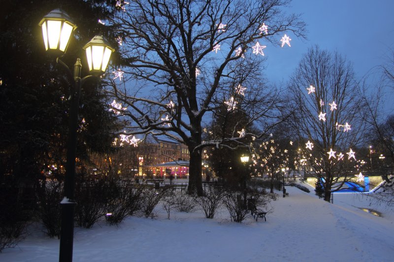 Rīgas pilsētas kanālmalas apstādījumi ziemā ar gaismas rotājumiem. null