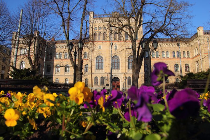 Latvijas Universitātes galvenā ēka pavasarī. null