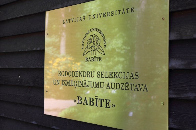 Latvijas Universitātes Rododendru selekcijas un izmēģinājumu audzētava «Babīte». null