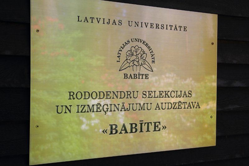 Latvijas Universitātes Rododendru selekcijas un izmēģinājumu audzētava «Babīte». null