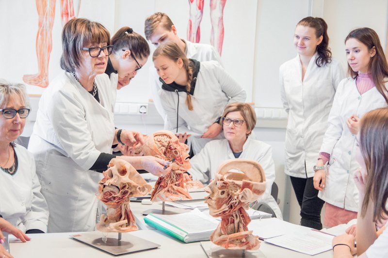 Latvijas Universitātes Medicīnas fakultātes nodarbība. null