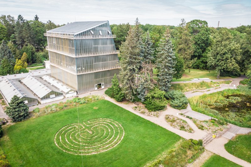Latvijas Universitātes Botāniskais dārzs. Palmu māja. null