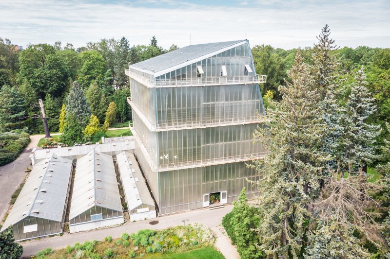 Latvijas Universitātes Botāniskais dārzs. Palmu māja. null