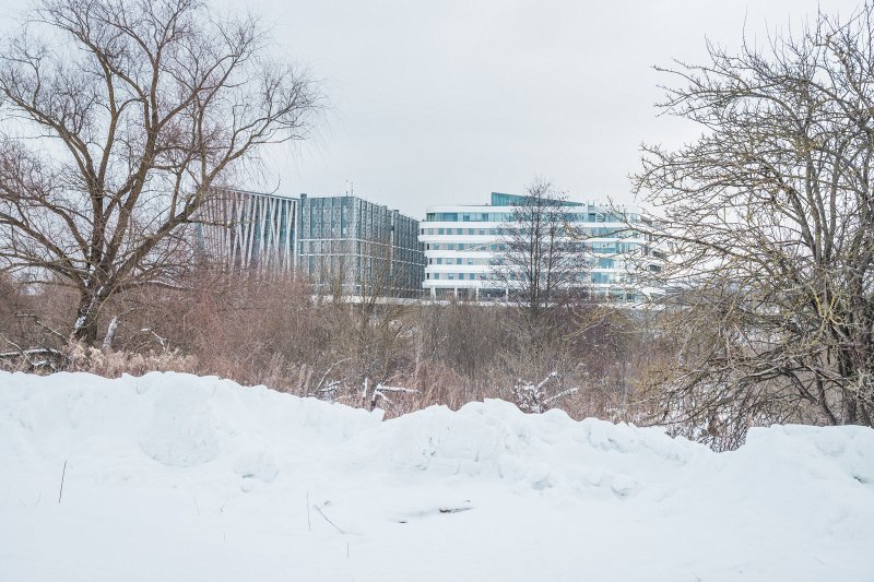 Latvijas Universitātes Akadēmiskais centrs un tā apkārtne, Dabas māja un Zinātņu māja. null