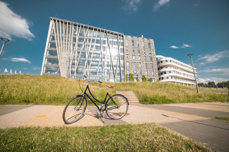 Latvijas Universitātes Akadēmiskais centrs, Dabas māja un Zinātņu māja. null