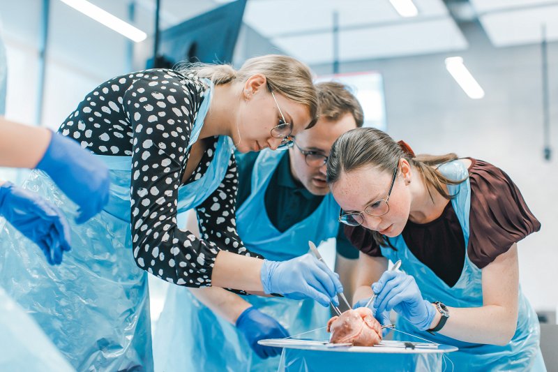 Pasākums Latvijas Universitātes Medicīnas fakultātes studentiem «Sirds un asinsvadu ķirurģijas Praktisko iemaņu laboratorija». null