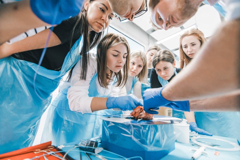 Pasākums Latvijas Universitātes Medicīnas fakultātes studentiem «Sirds un asinsvadu ķirurģijas Praktisko iemaņu laboratorija». null