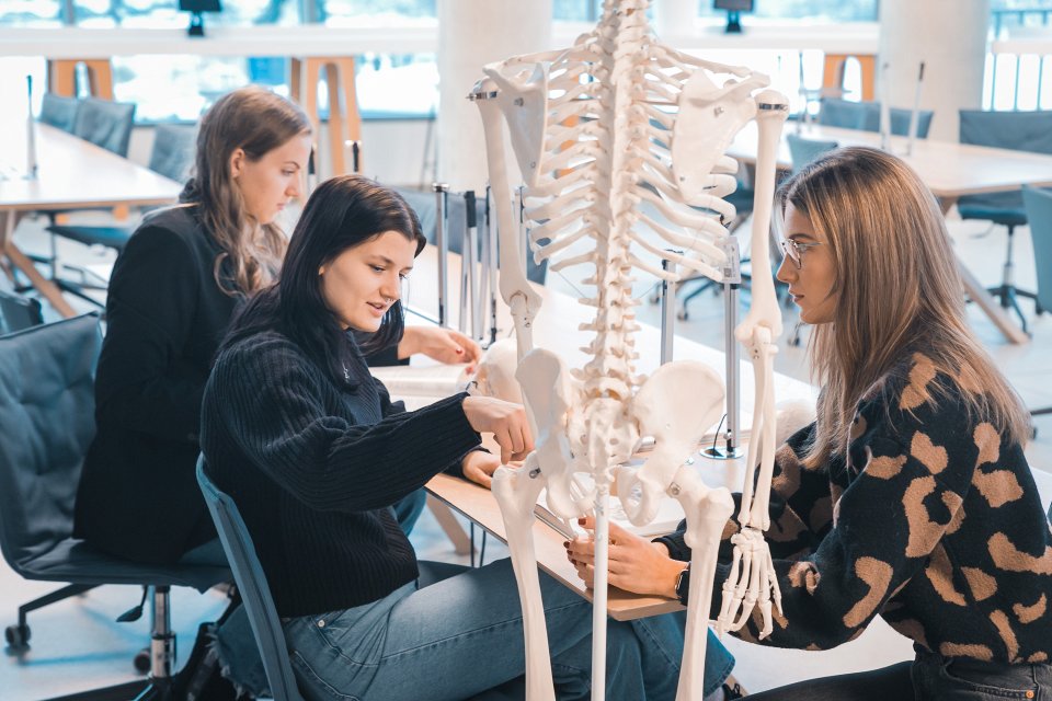 Cilvēka skeleta un galvaskausa modeļi Latvijas Universitātes Zinātņu mājas bibliotēkā. LU Medicīnas fakultātes studenti LU Akadēmiskā centra Zinātņu mājā apgūst cilvēka anatomiju, izmantojot LU Bibliotēkā pieejamos cilvēka skeleta un galvaskausa modeļus.