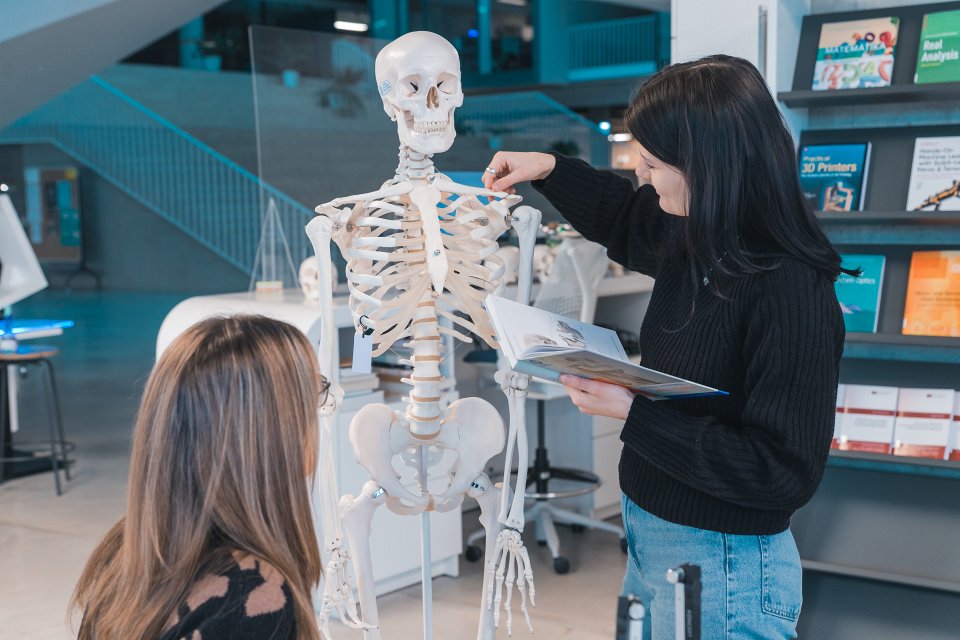 Cilvēka skeleta un galvaskausa modeļi Latvijas Universitātes Zinātņu mājas bibliotēkā. LU Medicīnas fakultātes studenti LU Akadēmiskā centra Zinātņu mājā apgūst cilvēka anatomiju, izmantojot LU Bibliotēkā pieejamos cilvēka skeleta un galvaskausa modeļus.