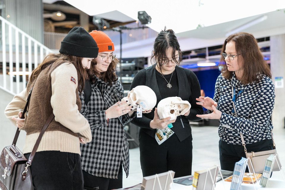 Latvijas Universitātes studiju festivāls «L’Universs». null