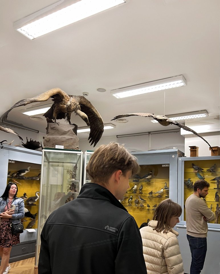 Muzeju nakts Latvijas Universitātē «Uzzini, dari un radi!». Apmeklētāju dalība foto orientēšanās spēlē “Kur paslēpušies dabas artefakti?”.